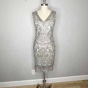 Tadashi Shoji METALLIC CORDED EMBROIDERY ON TULLE V-NECK Size 8 P petite silver
